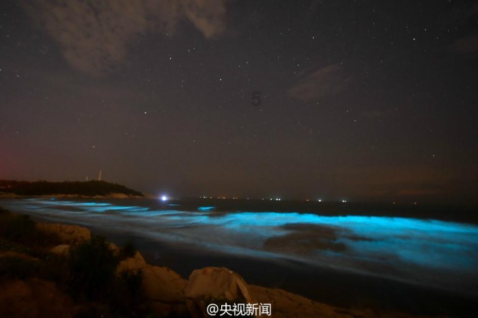 星动，只为你