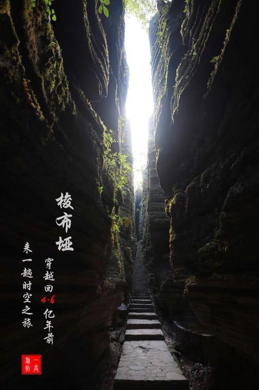 寒冷的低语