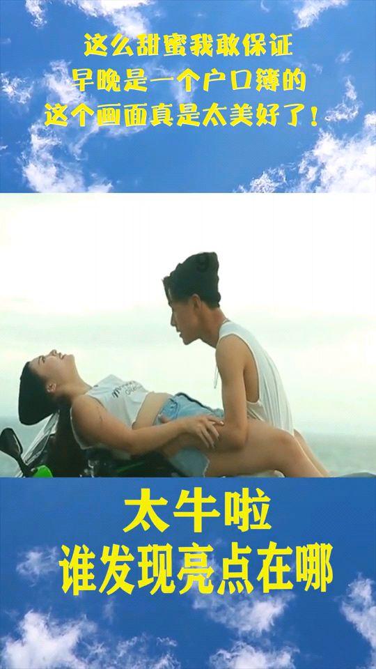 丰都动物园收猫咪要钱吗？游戏画面