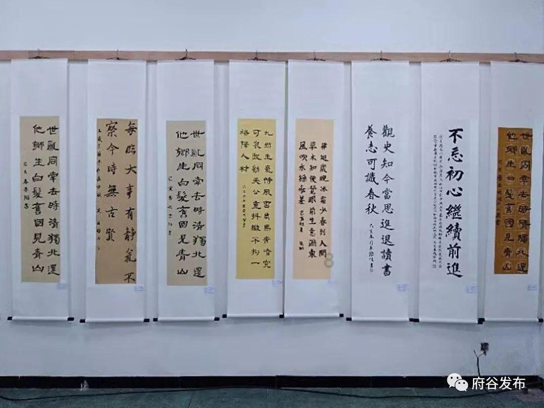 县域共青团基层组织改革丨青山区：团组织赋能，让青年当主角