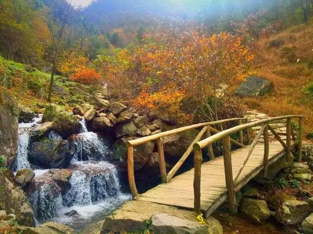 冒险家工会
