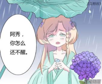 勇敢的猴子