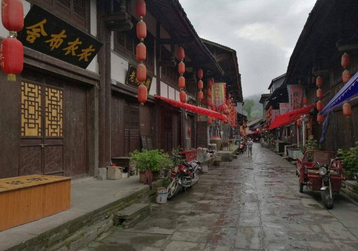 动物帮帮忙保卫家园